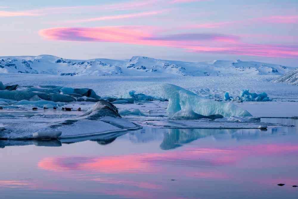 Jökulsarlón in Iceland Icebergs floating across Jökulsárlón Glacier Lagoon with snow-covered mountains and a colorful pink sky reflected in the water.