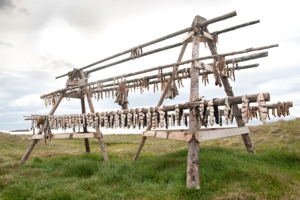 Hardfiskur Dry Fish