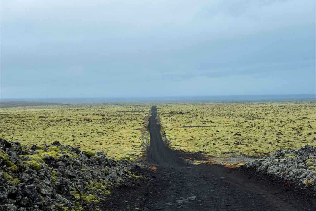 F-Roads: The Highland Adventure challeging terrain in Iceland f-roads covered with moss