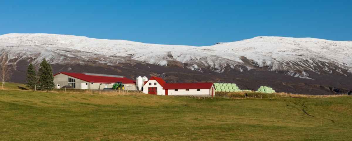 Acampar en el Círculo Dorado Camping de Laugarvatn con montañas nevadas al fondo